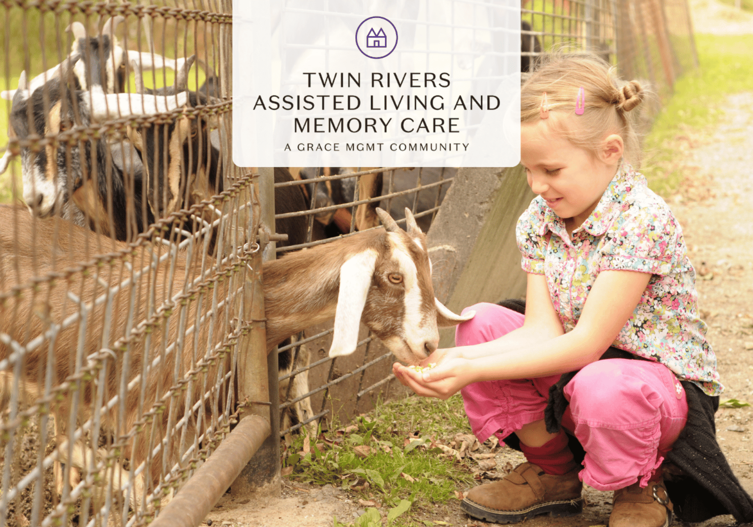 Young girl crouches by a metal fence, feeding a goat through the bars at a farm/petting zoo.